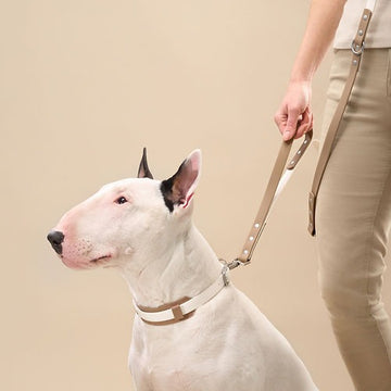 DUO Collar - Premium - Offwhite