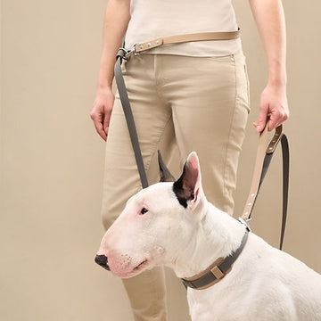 DUO Leash - Premium - Charcoal