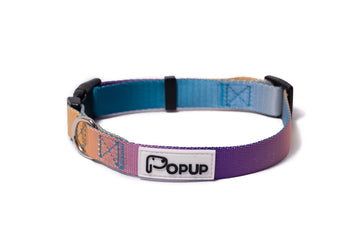 AURA Dog Collar