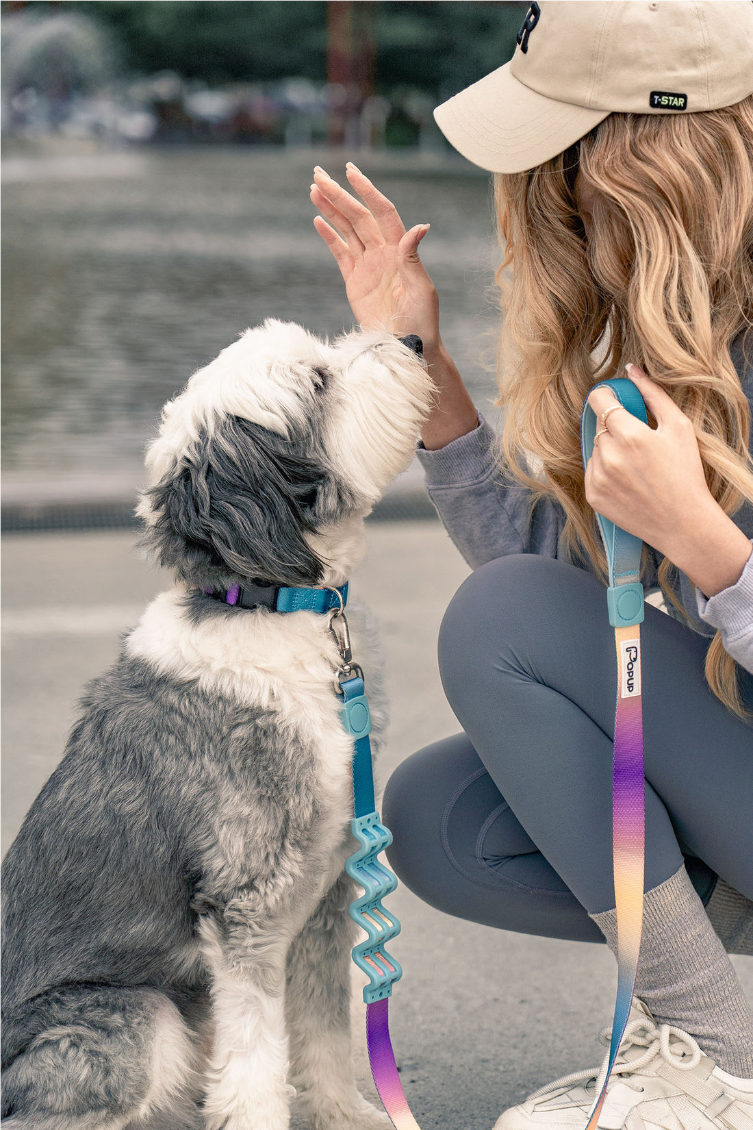 PoPupJoys AURA dog collar with aurora-inspired gradient—lightweight, adjustable, and designed for colourful everyday comfort.