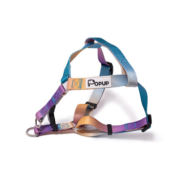 AURA harness by PoPupJoys—adjustable, lightweight, and built for colorful, comfortable control.