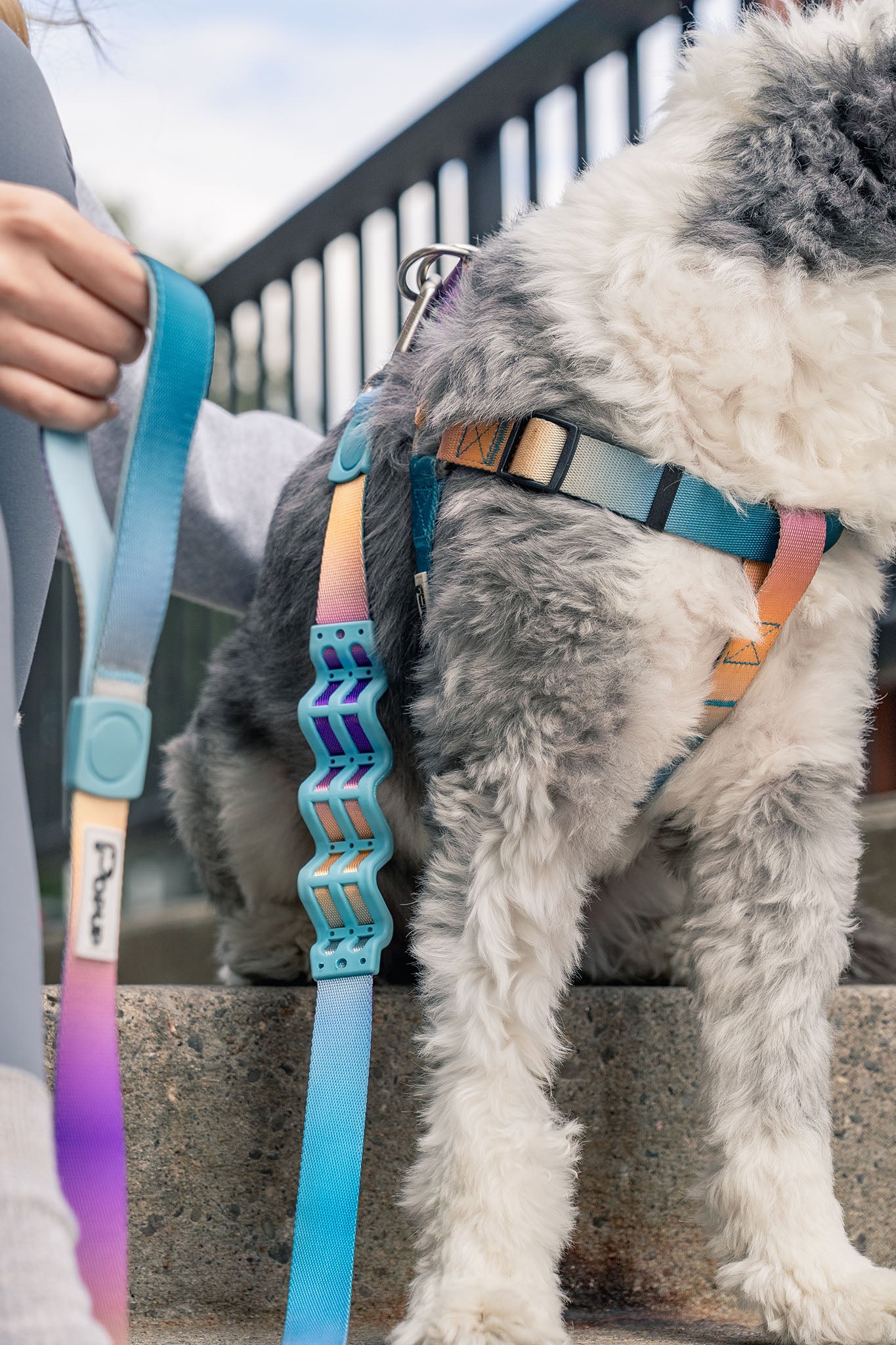 AURA leash with aurora-inspired gradient and shock-absorbing spring to ease pulling and make walks more enjoyable.