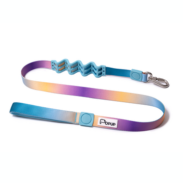 AURA Dog Leash
