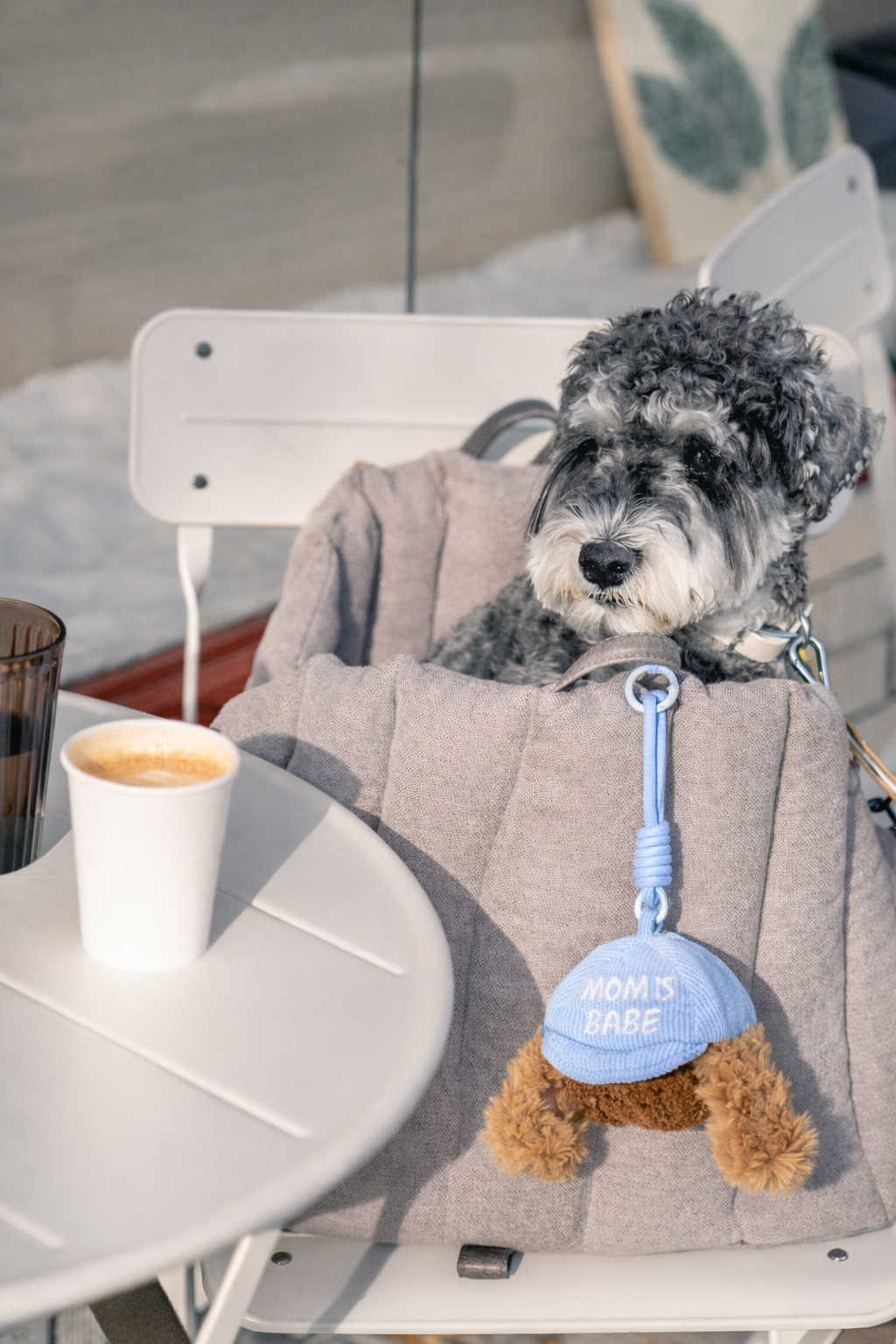 CLIK - Bag Charm Enrichment Toy for dogs - Blue