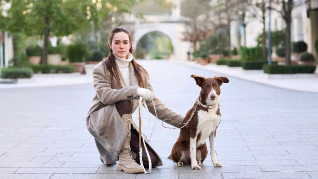 PoPupJoys_Dog Joy Walking