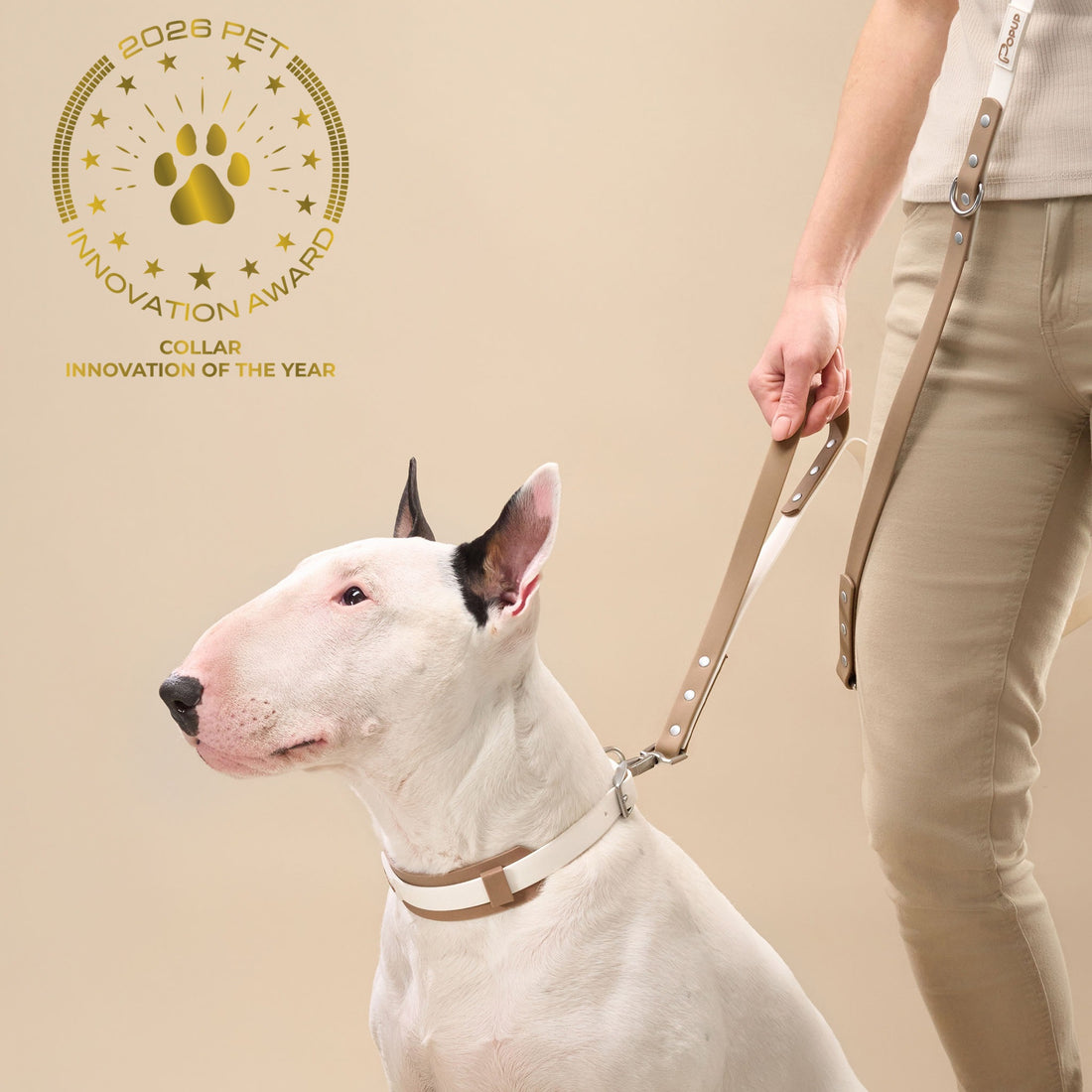 White bull terrier wearing PoPupJoys DUO collar with wide silicone neck guard on beige background, a 2026 pet innovation award product