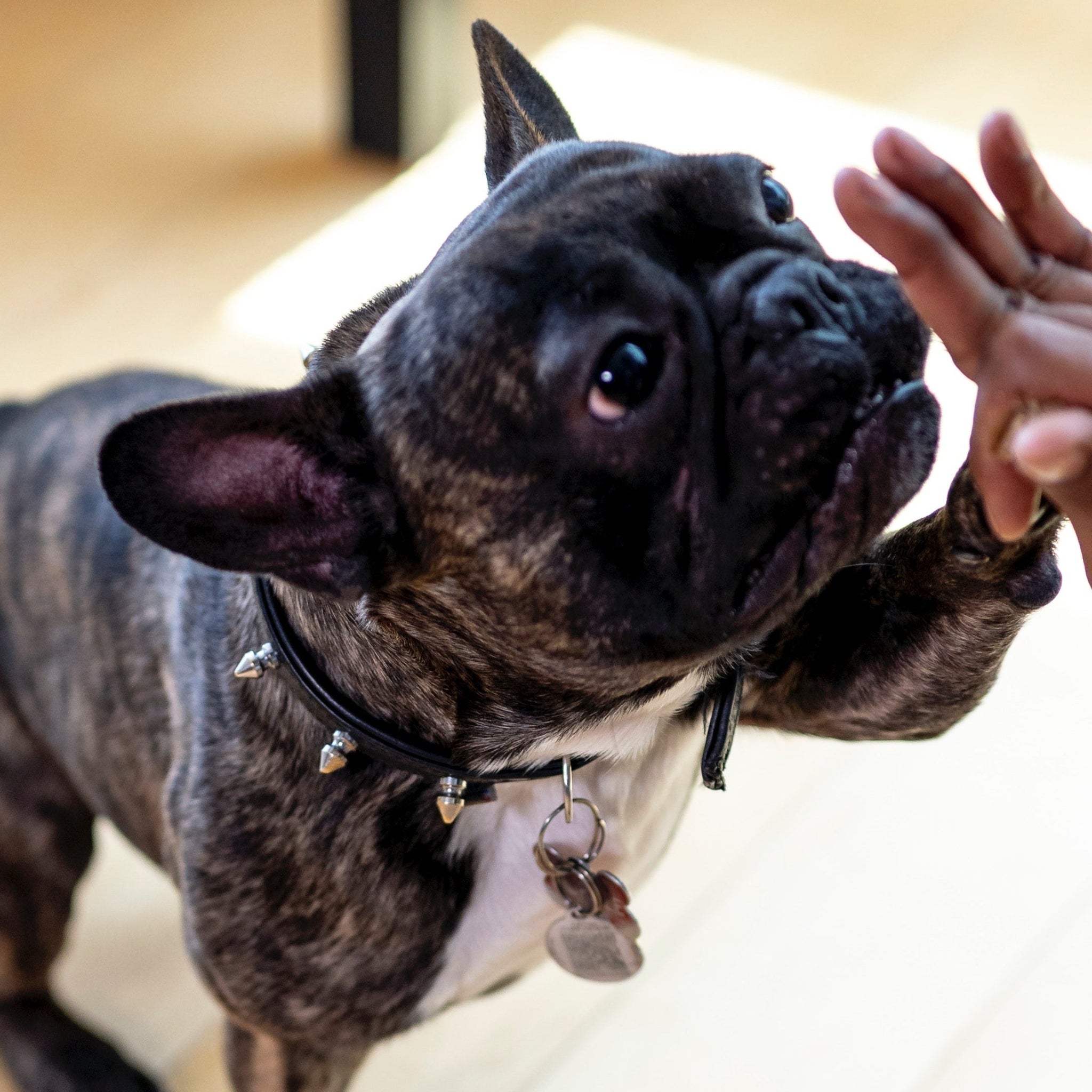 PoPupJoys Affiliate Program