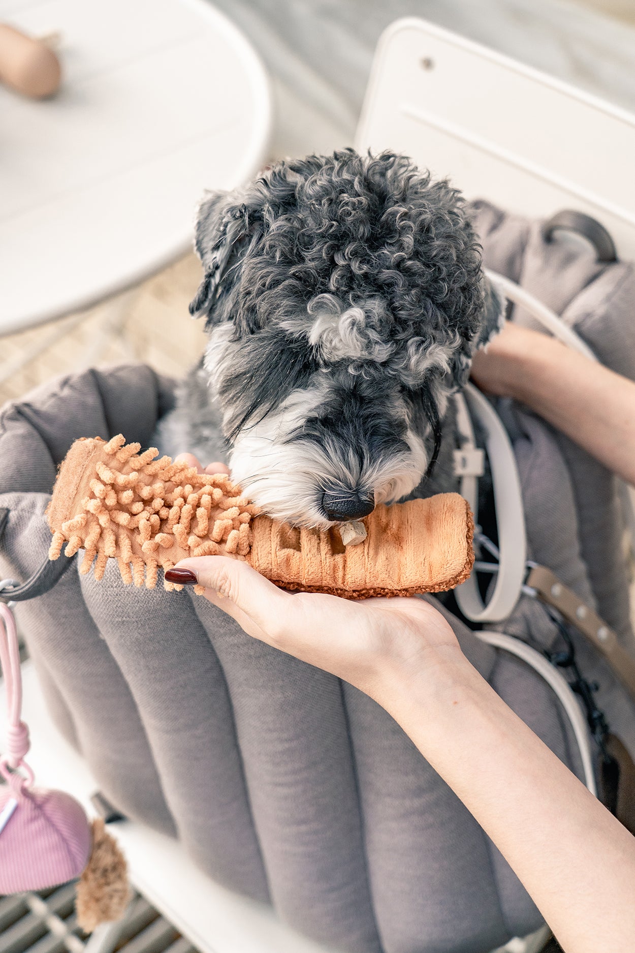 Dog sniffing treats from layered pocket of compact dog snuffle toy designed for travel enrichment