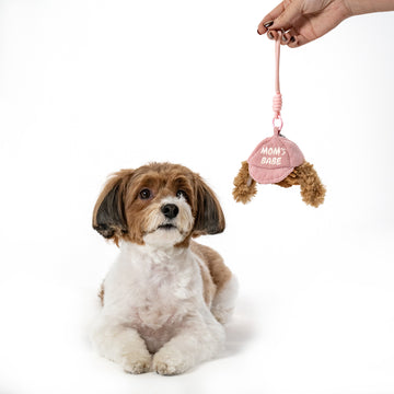 Dog with a pink 'Mom's Babe' compact enrichment toy for to-go