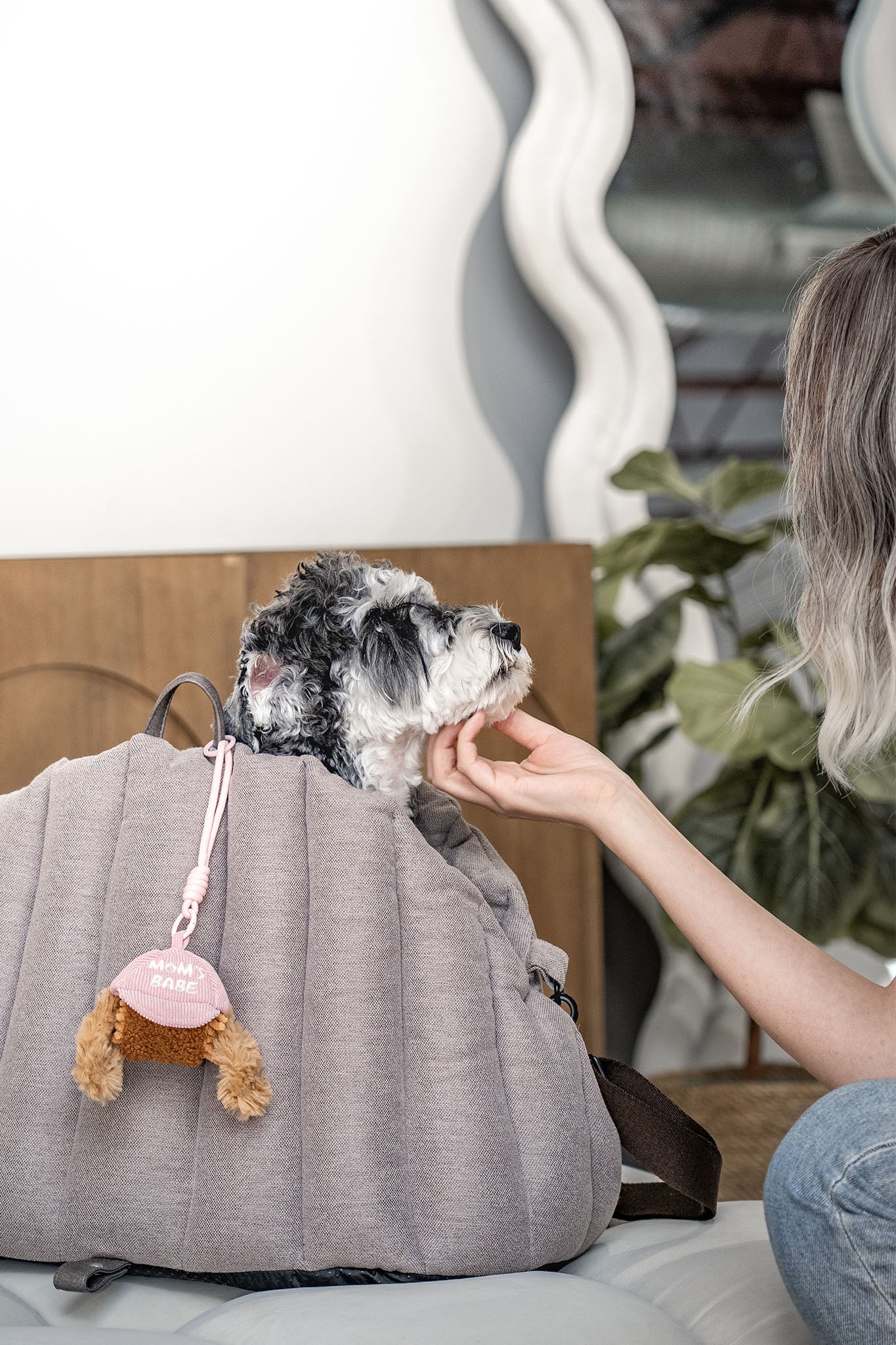 Small dog sitting in travel carrier while owner gently pets it with CLIK enrichment toy clipped to bag,portable dog enrichment toy