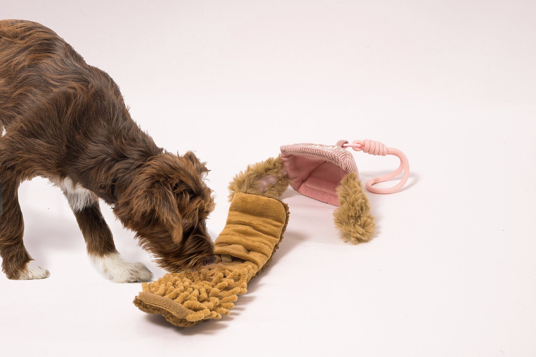 Dog sniffing treats from layered pocket of compact dog snuffle toy designed for travel enrichment