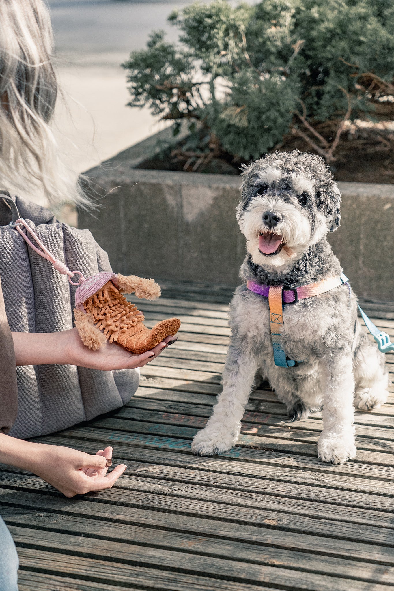 Portable dog enrichment toy clipped to travel bag beside small dog showing on-the-go sniffing toy design