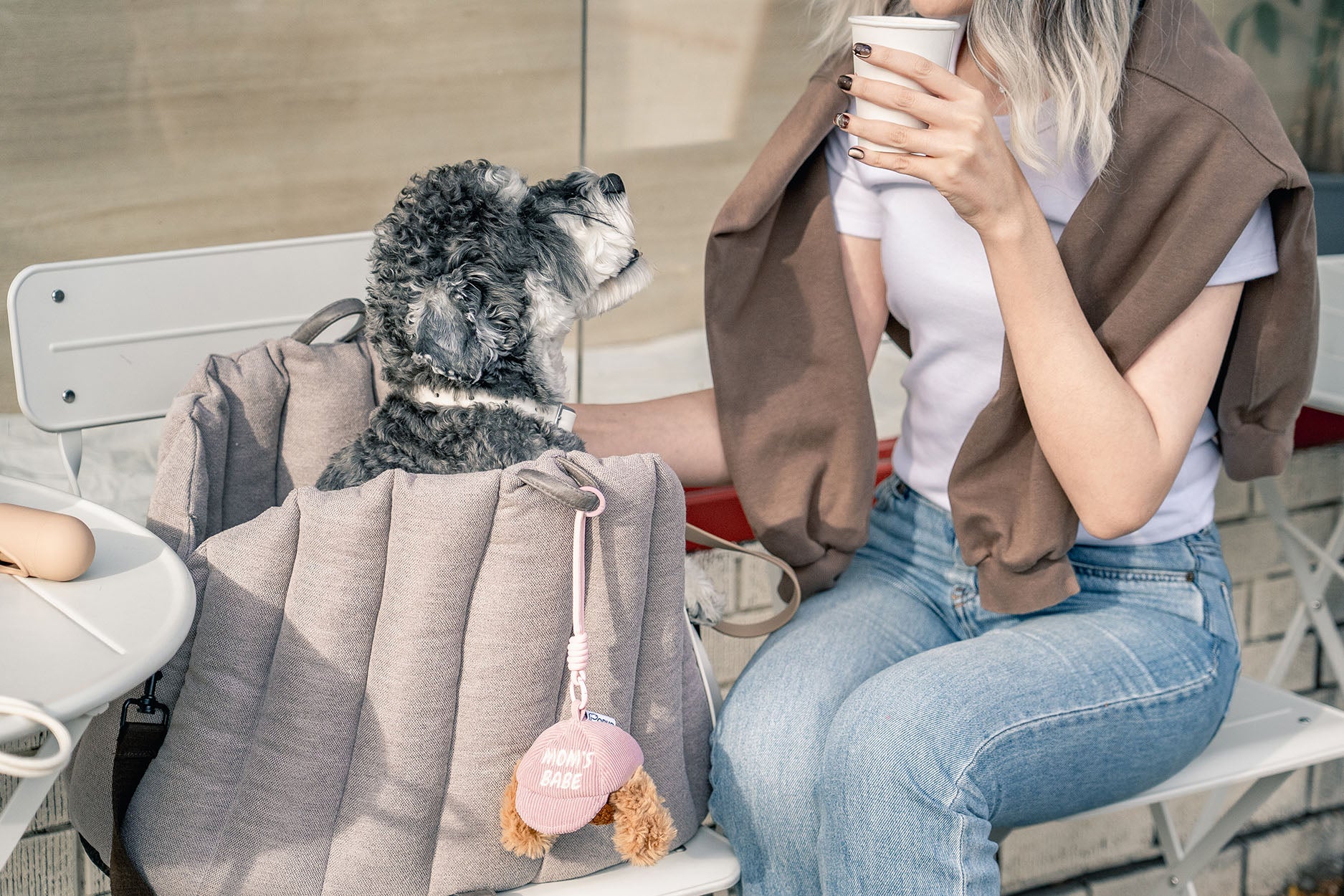 Small dog sitting in travel carrier beside woman at outdoor café with CLIK portable dog enrichment toy clipped to bag