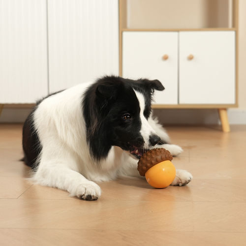 POPUPJOYS acorn-shaped dog treat dispenser toy with textured silicone design and removable lid