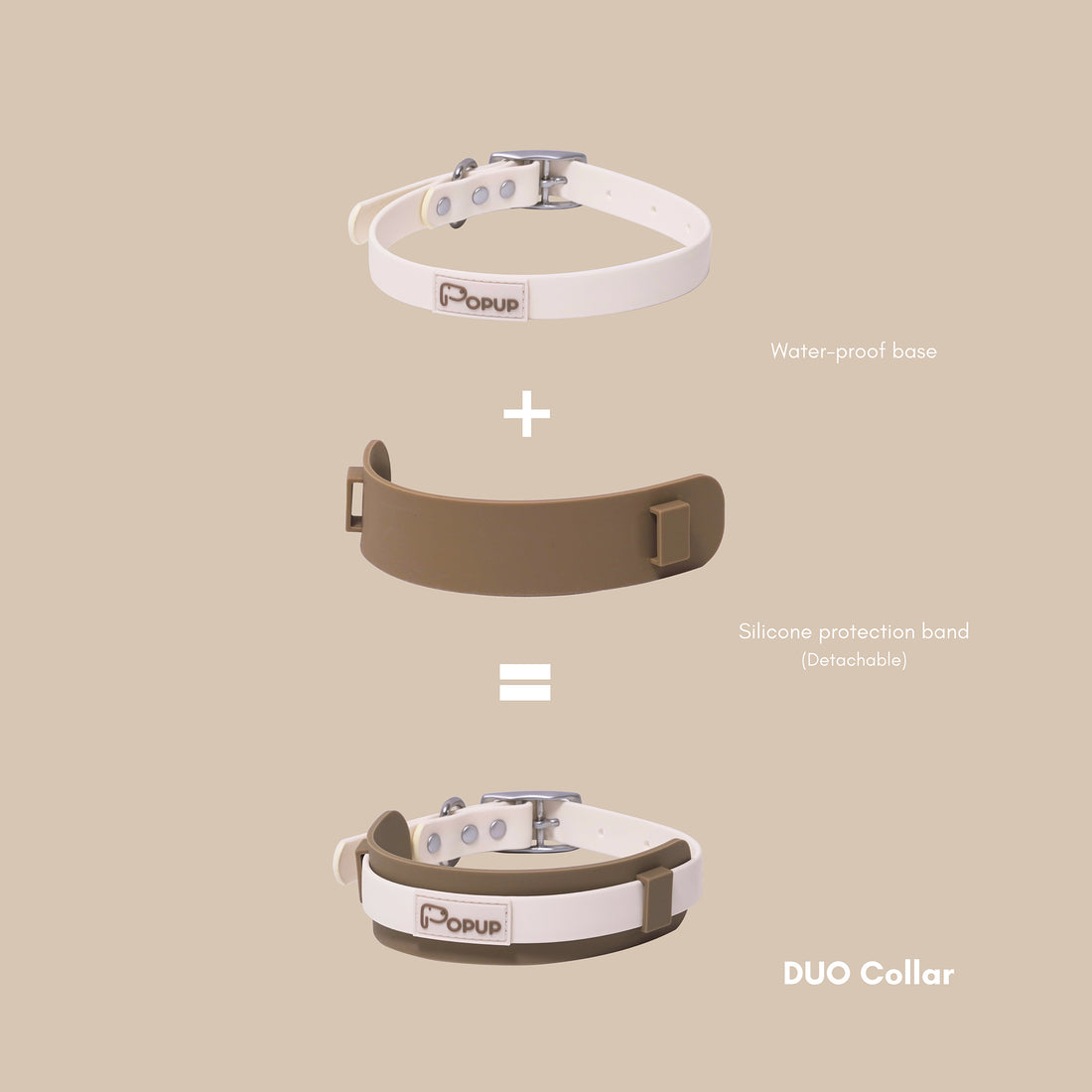 White bull terrier wearing waterproof DUO collar with leash during controlled walk beside handler