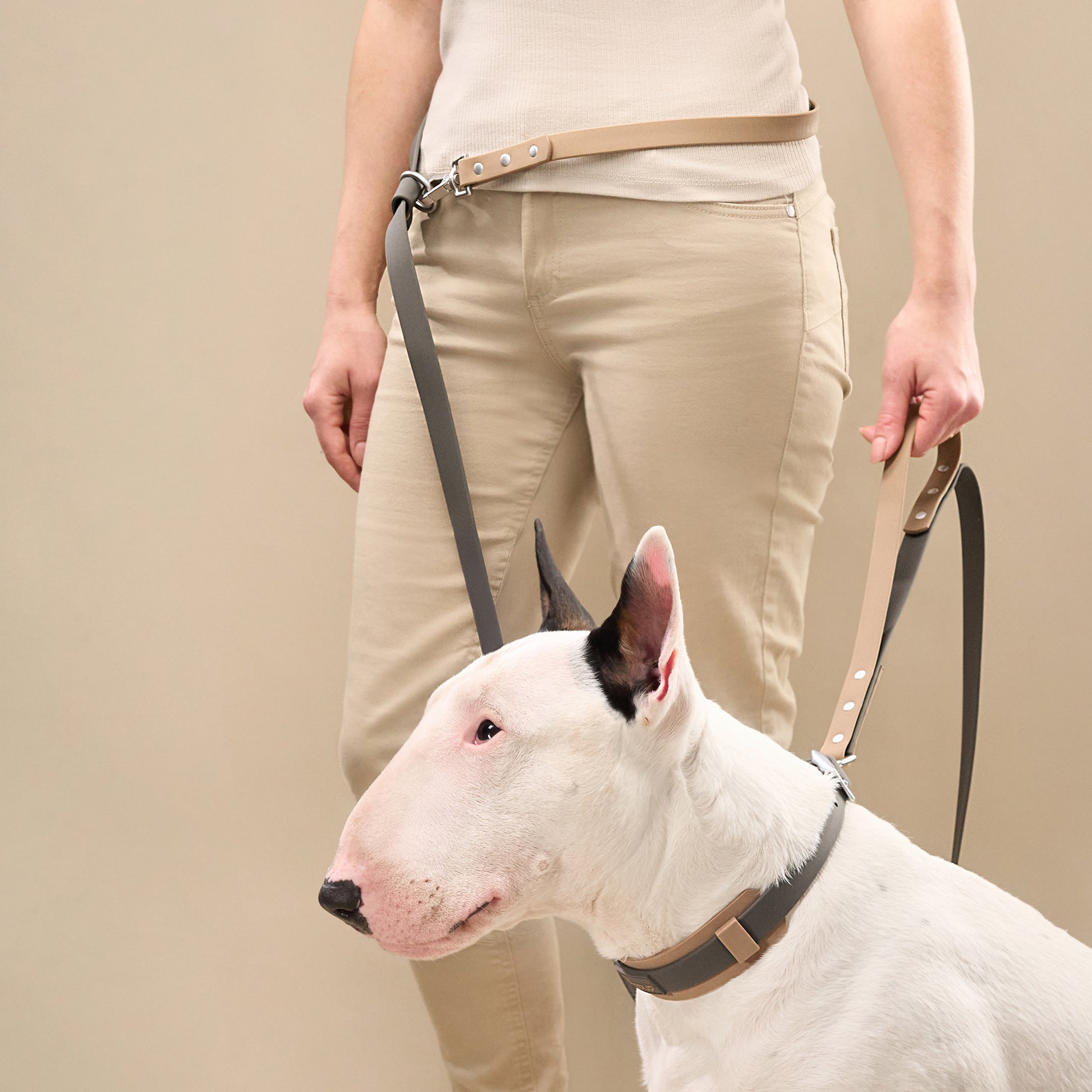 Close view of white dog wearing DUO premium collar showing broad silicone neck protection band