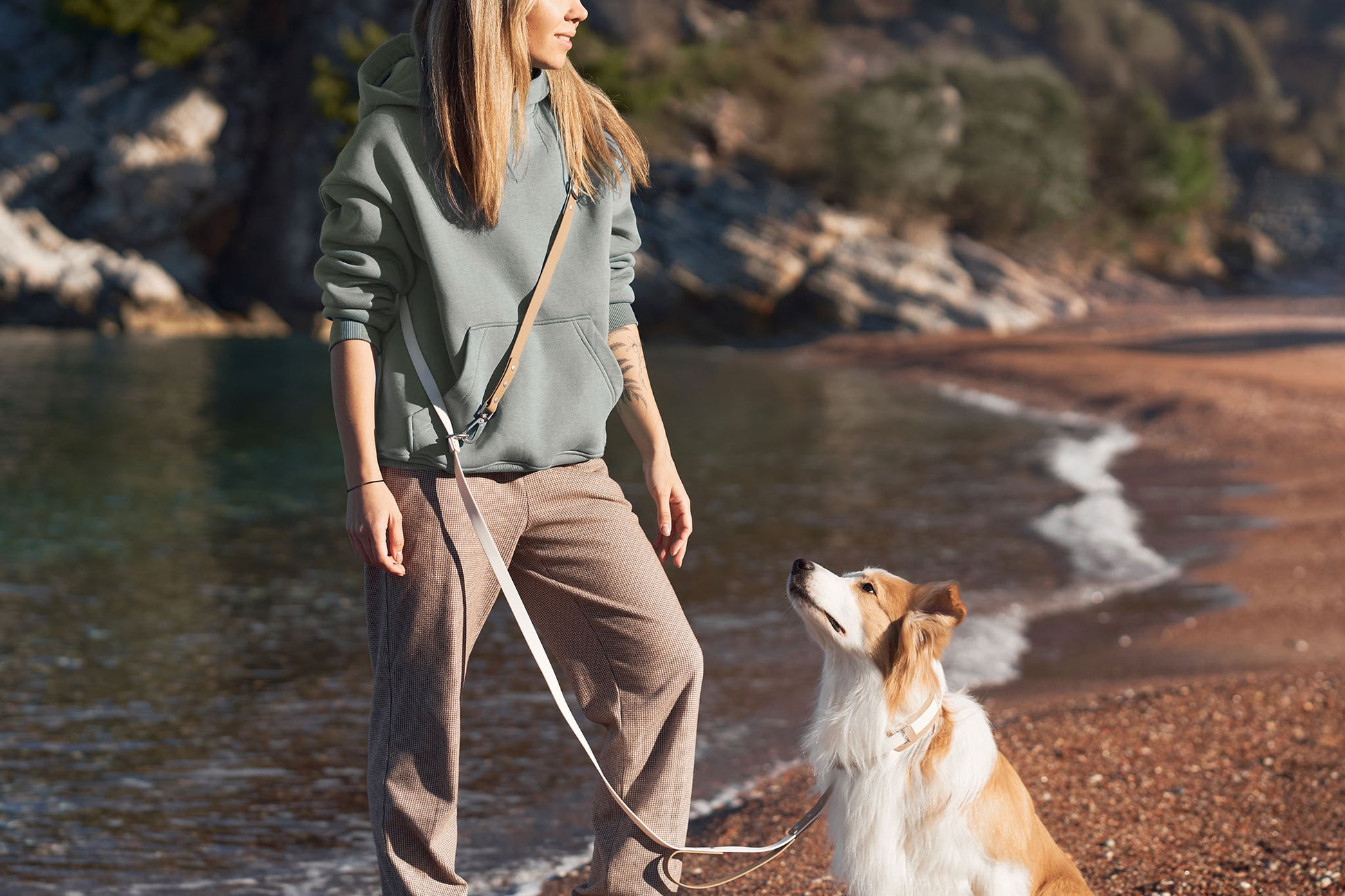 Dog sitting on shoreline looking at owner during walk wearing wide silicone neck guard collar