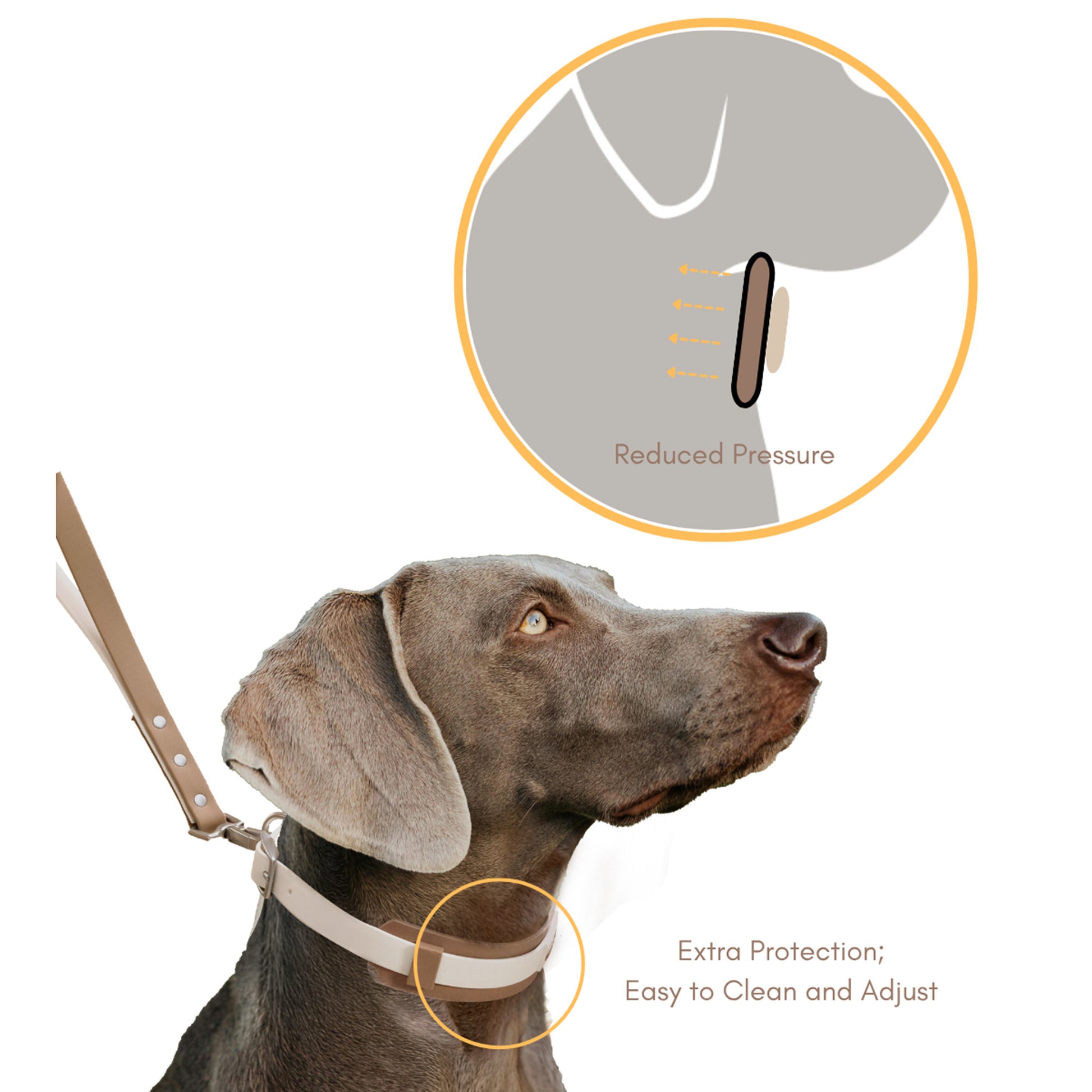 Dog wearing collar with diagram showing reduced neck pressure and wide silicone support band