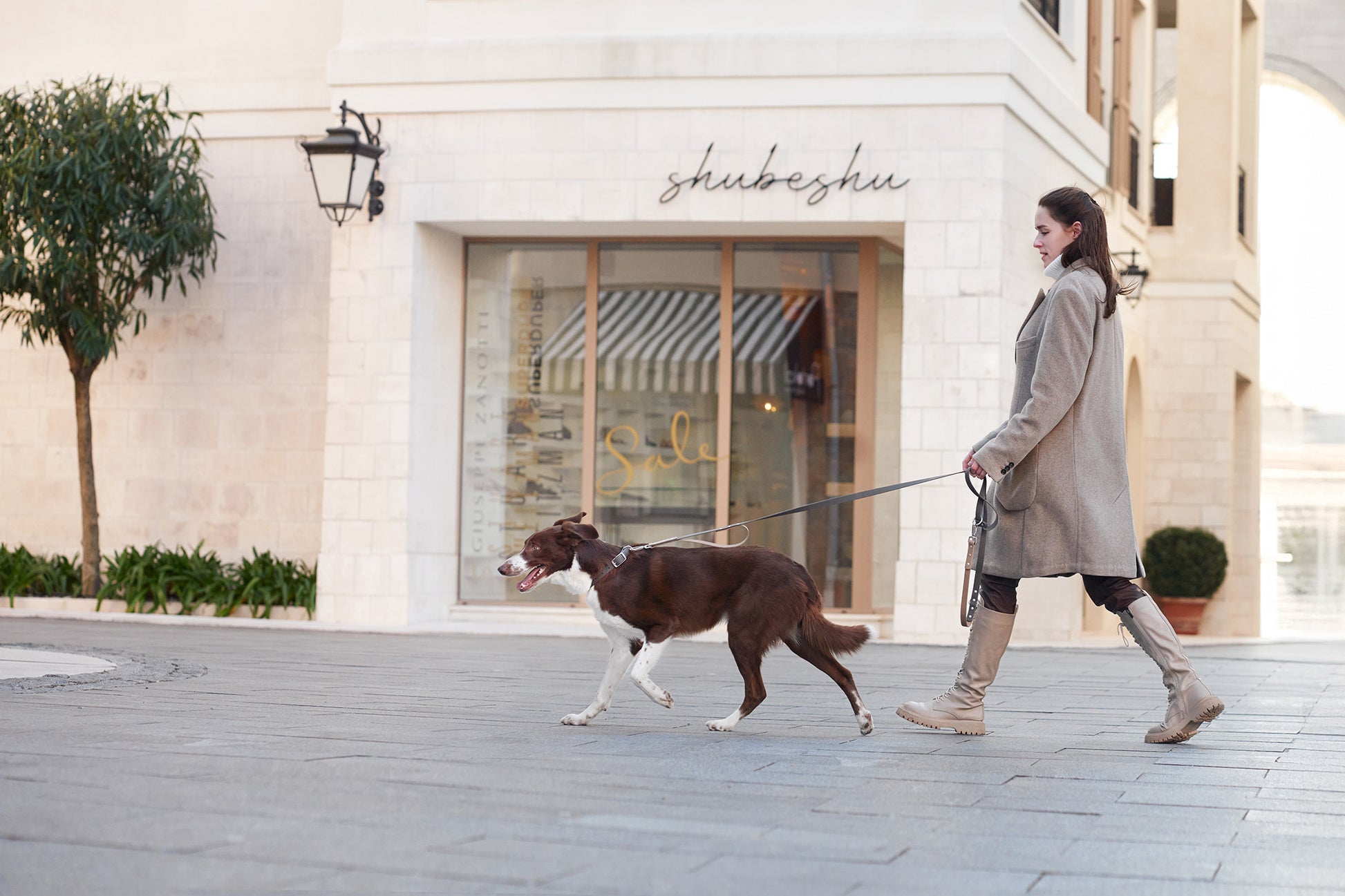 Woman walking a brown dog with DUO Premium hands-free leash in an urban setting