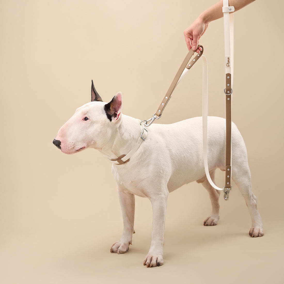 Flat lay of DUO leashes with matching waste bag holder and ball in neutral tones