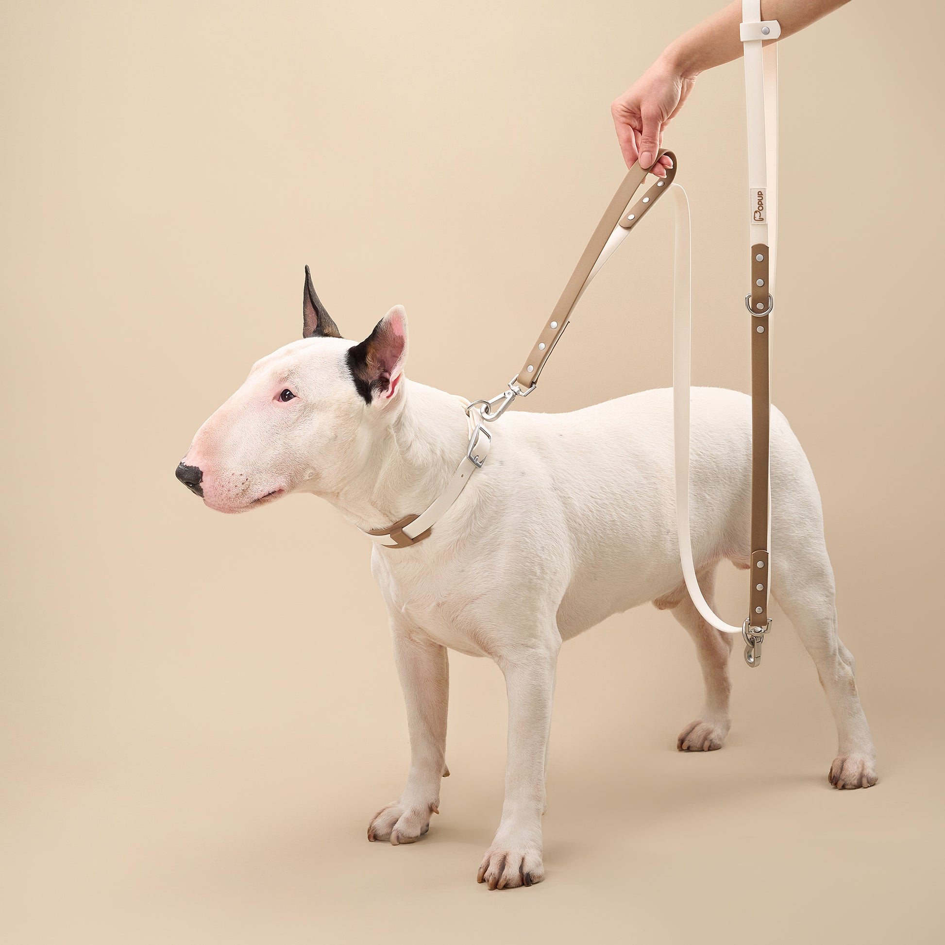 Close-up of DUO Premium leash traffic handle used for close control with large dog
