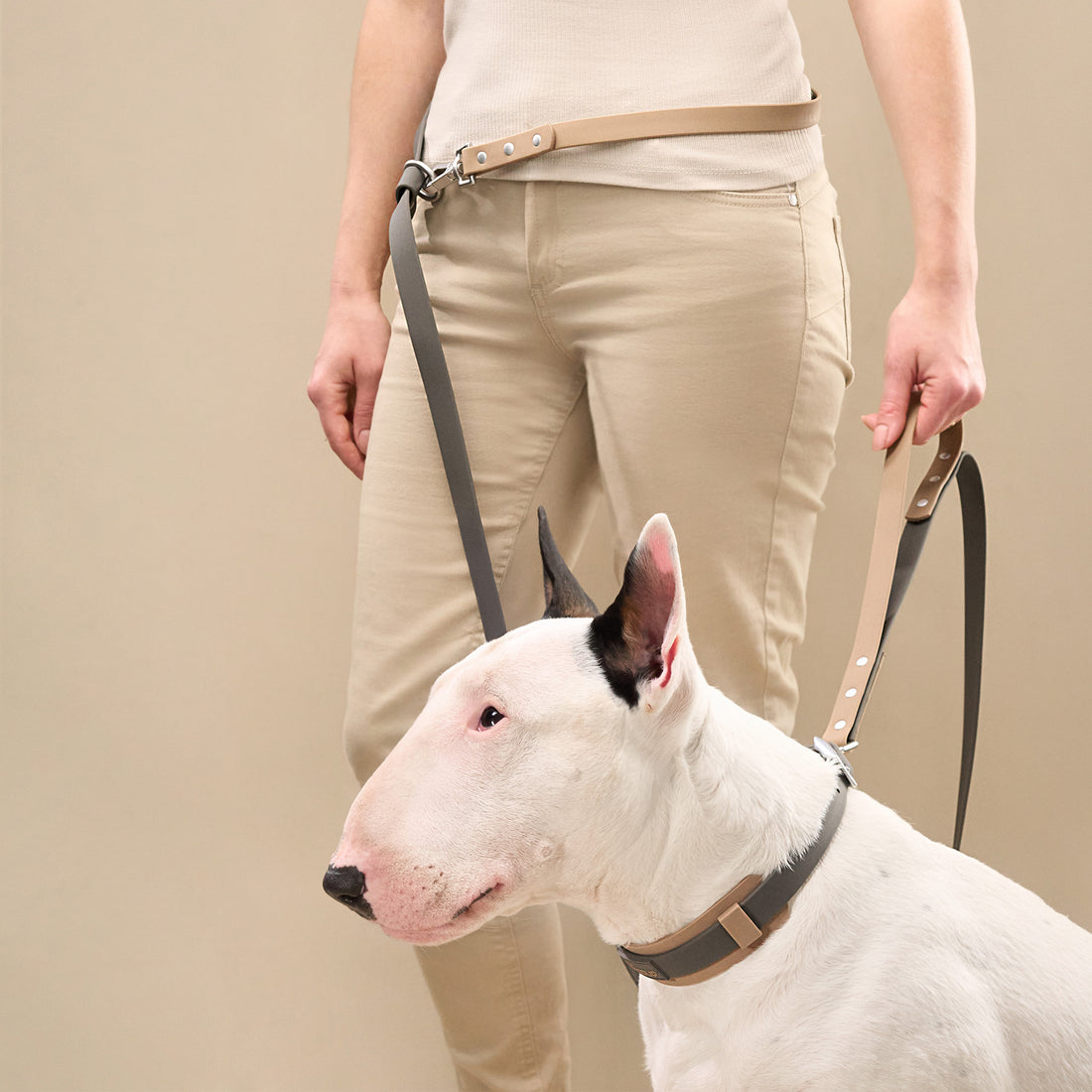 Close-up of DUO Premium leash worn around the waist with white dog in matching collar