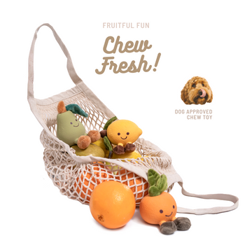 Fruity Fun collection of pear, lemon and orange dog chew toys displayed in mesh bag