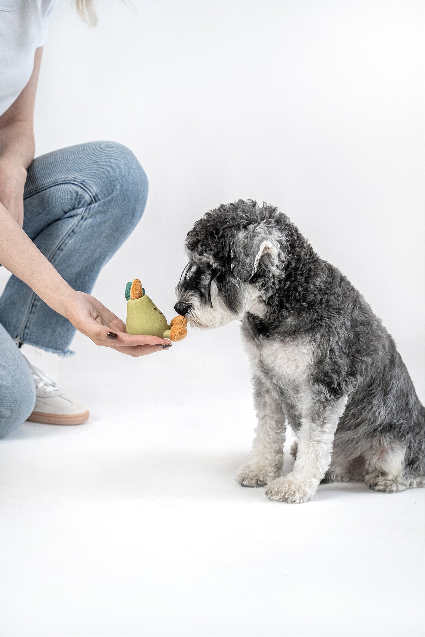 Small dog investigating Fruity Fun pear chew toy offered by owner in studio setting