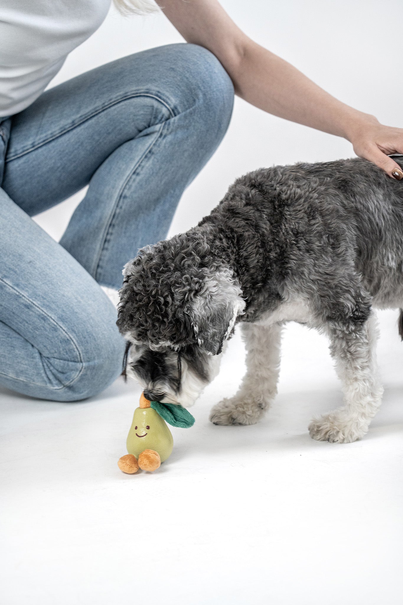Small dog engaging with plush pear toy featuring soft fabric and natural latex core