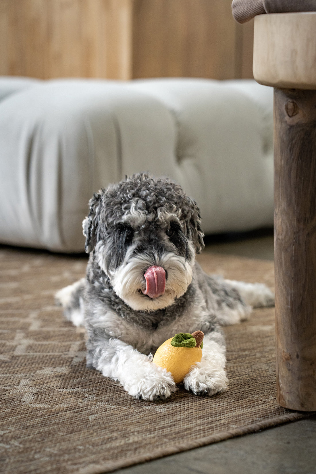 Fruity Fun collection of pear, lemon and orange dog chew toys displayed in mesh bag
