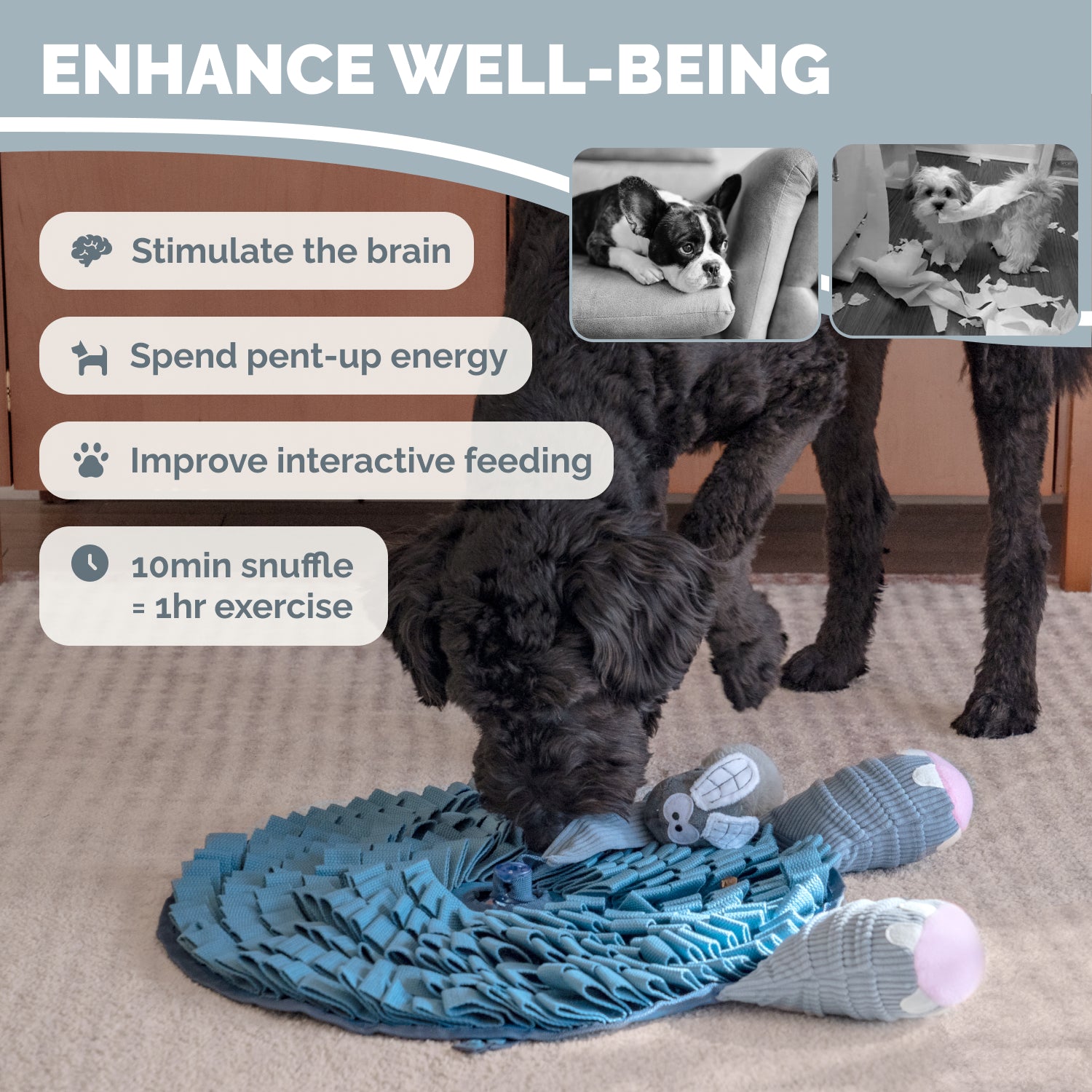 Dog sniffing treats hidden inside blue elephant snuffle mat during indoor enrichment play session