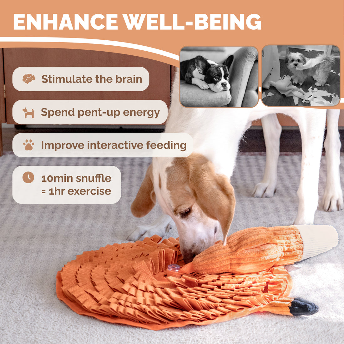 Orange fox Hide and Seek snuffle mat with treat pockets squeaker legs and packaging beside small dog