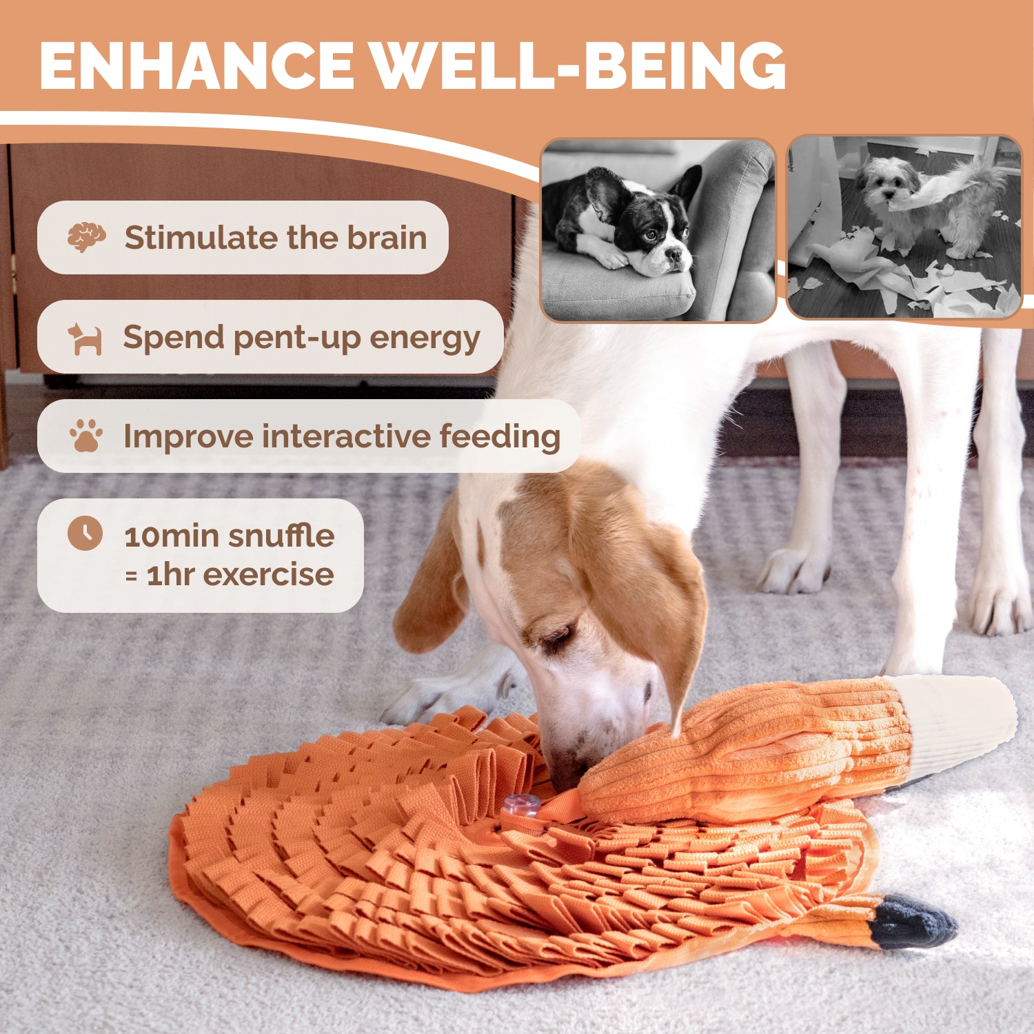 Dog sniffing treats hidden inside orange fox snuffle mat during indoor enrichment play session
