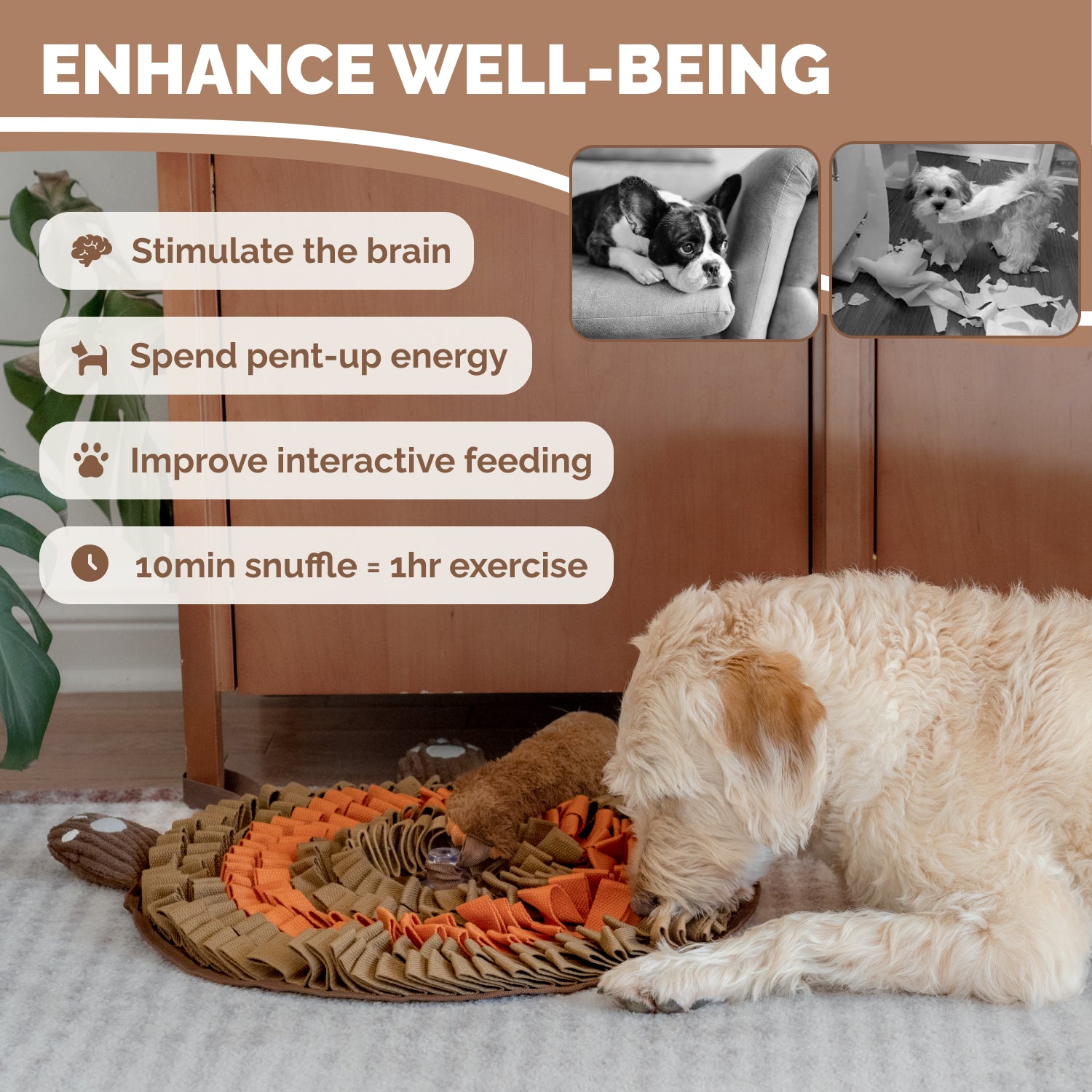 Dog sniffing treats hidden inside red panda snuffle mat during indoor enrichment play session