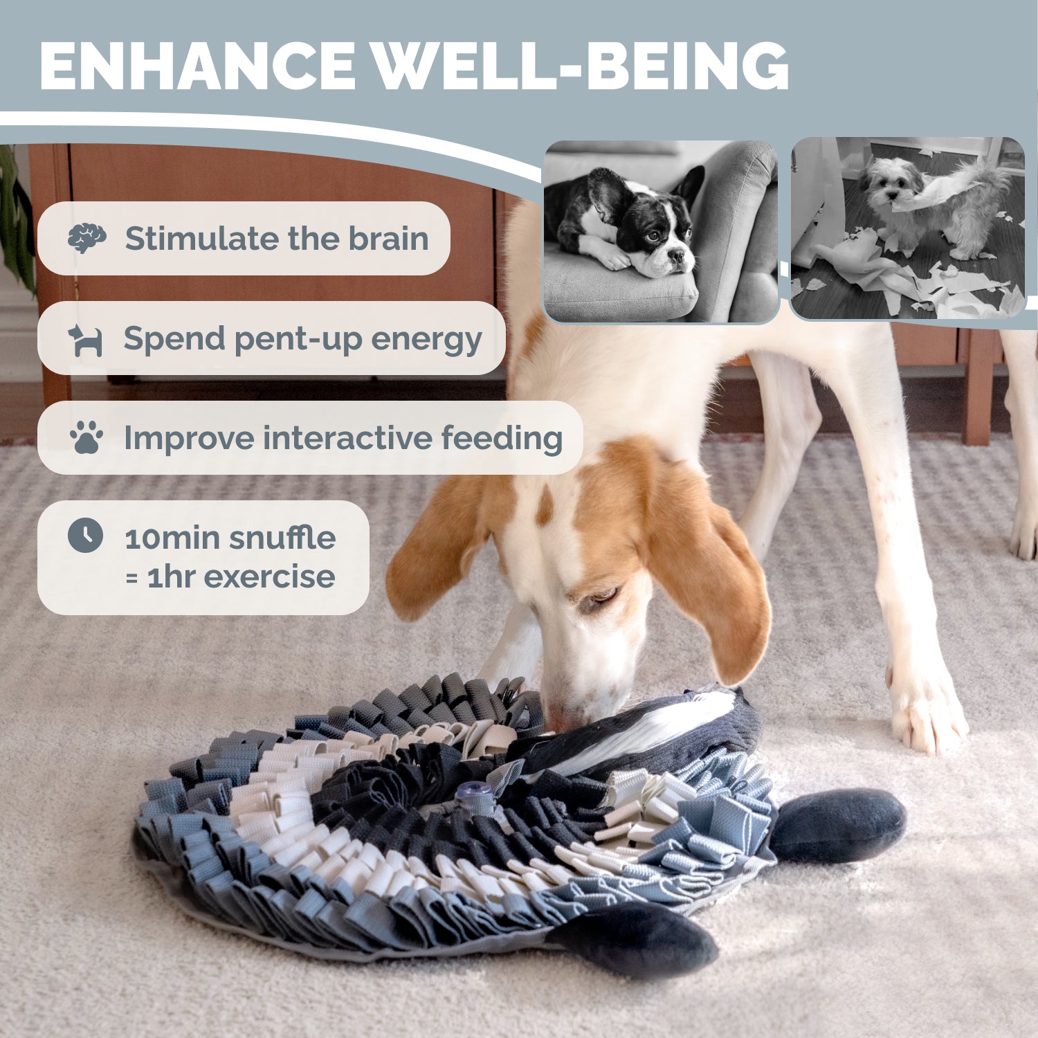 Dog sniffing treats hidden inside skunk snuffle mat during indoor enrichment play session