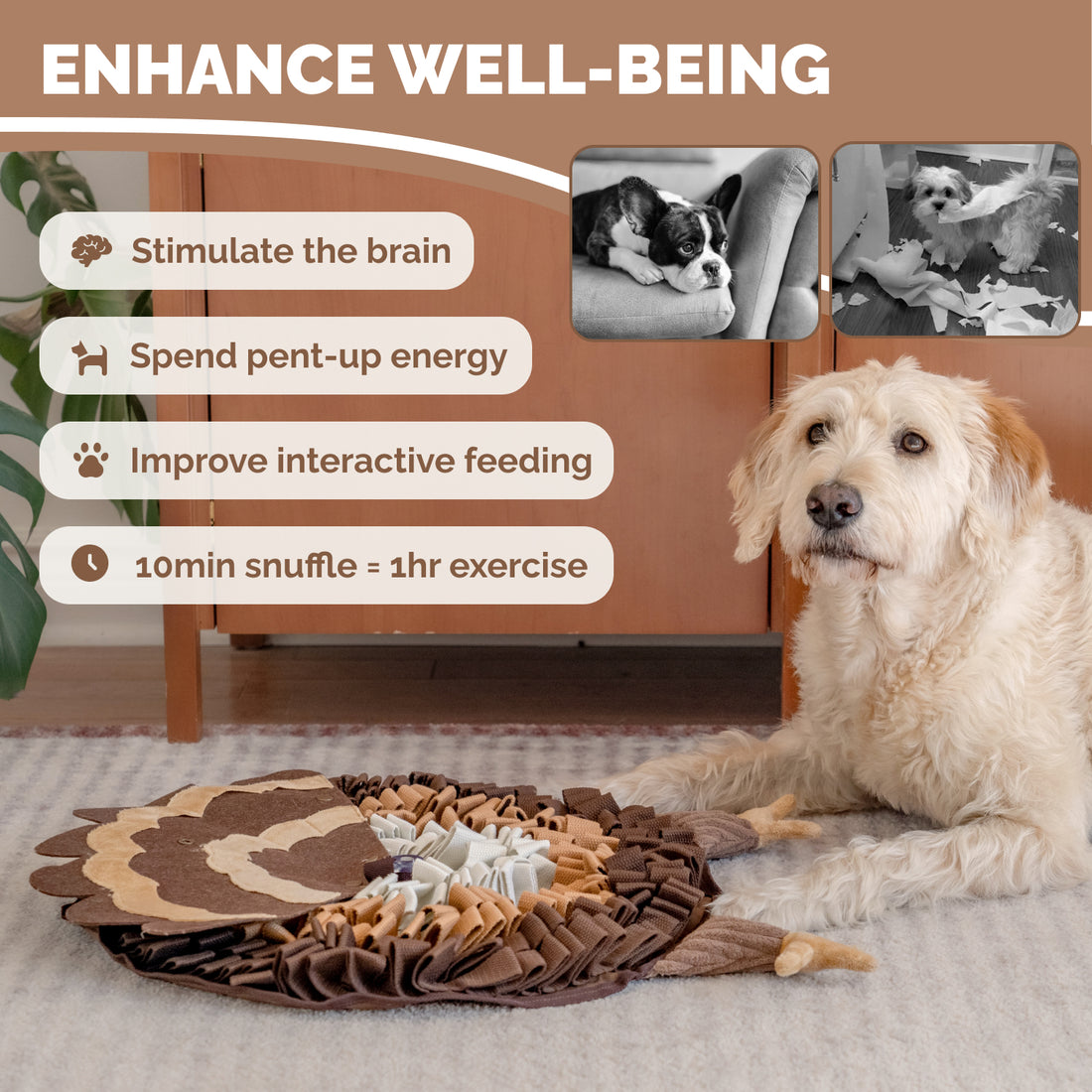 Brown turkey Hide and Seek snuffle mat with layered treat pockets squeaker legs and packaging beside small dog