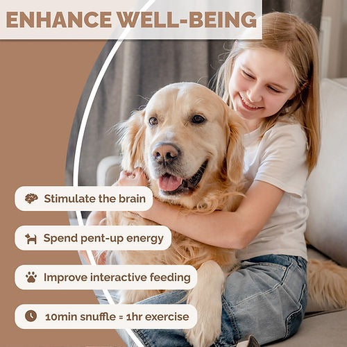 Child hugging a golden retriever, highlighting interactive feeding and mental enrichment benefits for dogs