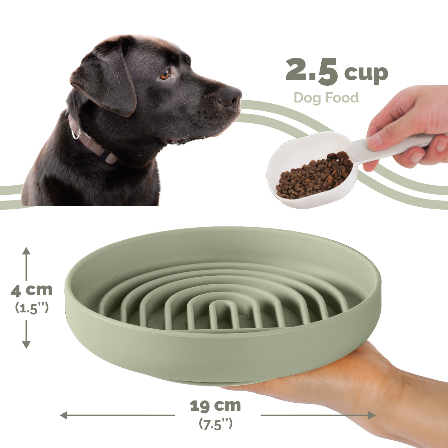 Sage slow feeder dog bowl showing 2.5 cup capacity and compact size