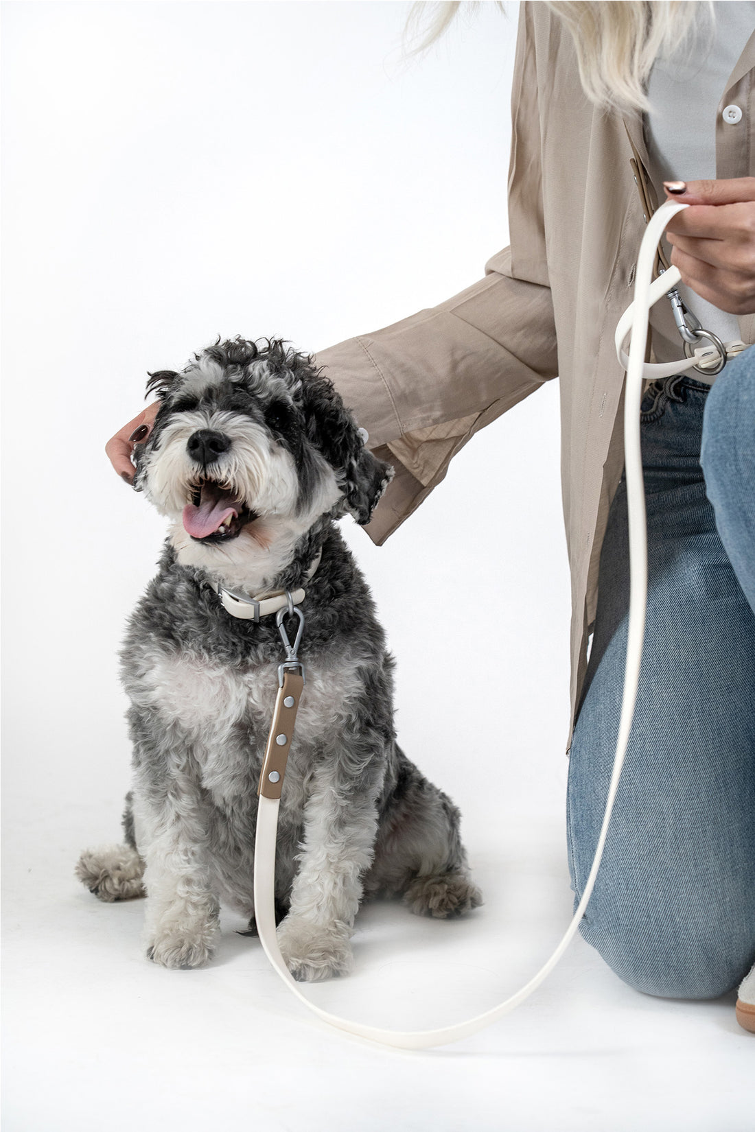 Small dog walking on lightweight waterproof leash held by owner in casual urban setting