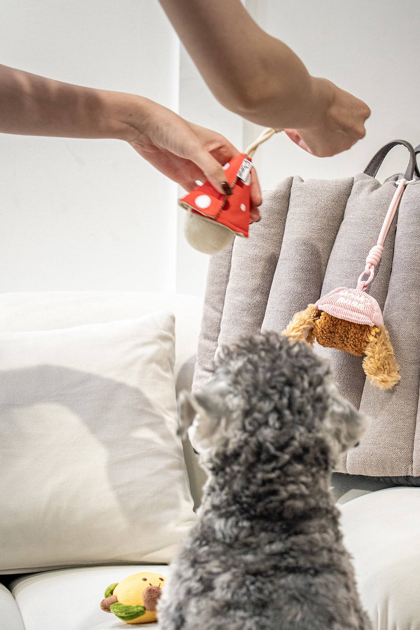 Dog looking at two hanging portable dog snuffle toys, one mushroom style and a pink dog head style.