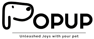 PoPupJoys